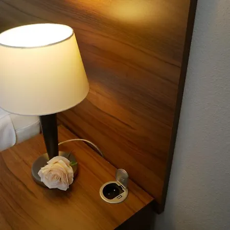 酒店 萨芙蓉酒店 4*