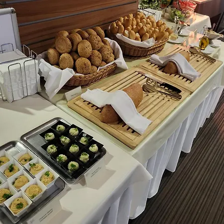 萨芙蓉酒店 4* 布拉迪斯拉发