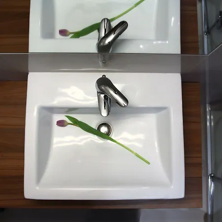 萨芙蓉酒店 酒店